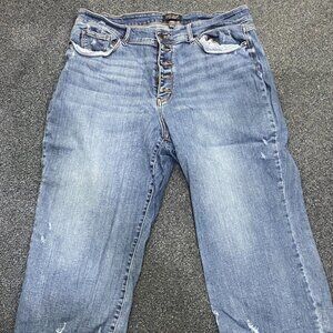 Judy Blue sz 22